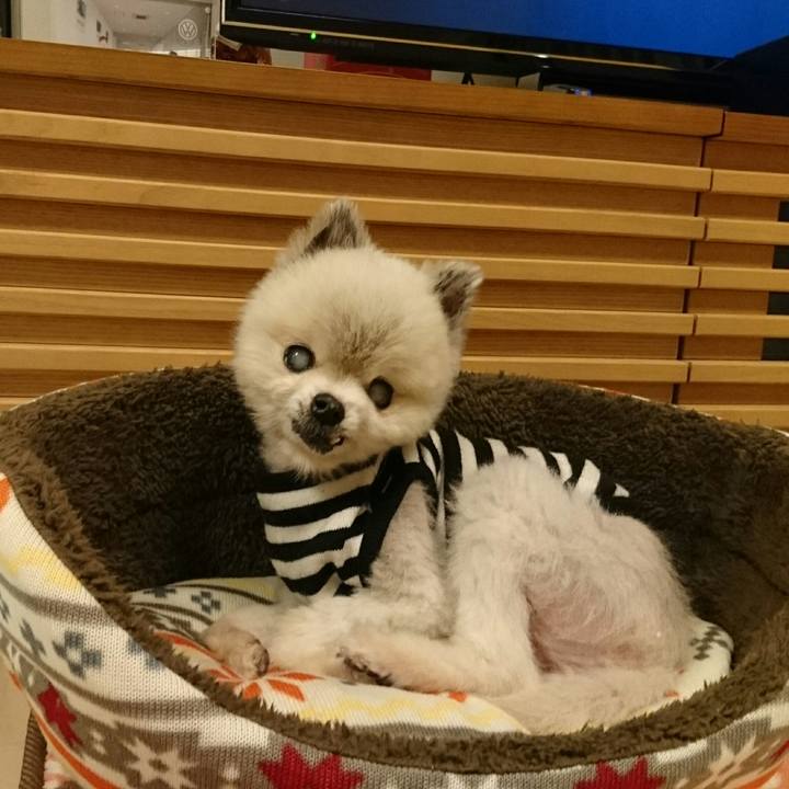 E8573e1b d9e5 401e 891d e4980df535db