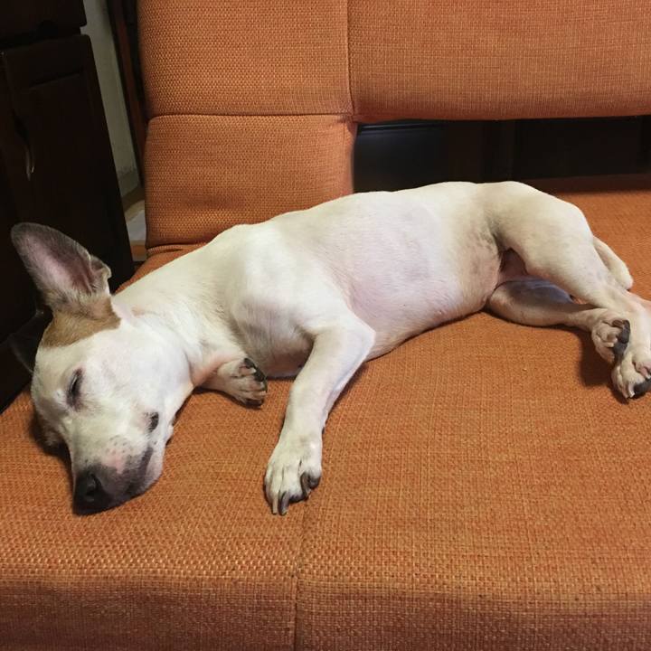 E857d93d f186 4563 a4aa 6d2fd1f79009