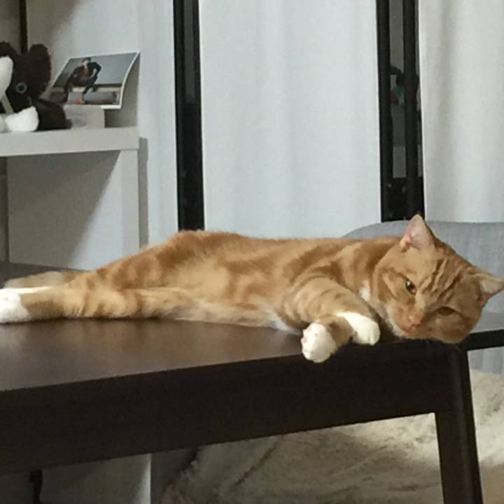 E857ec3e d3a1 4bc4 b570 e56d3b7622a8