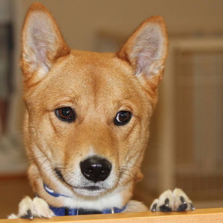 E858895d 7bd5 4b6a b027 5902bc07164b