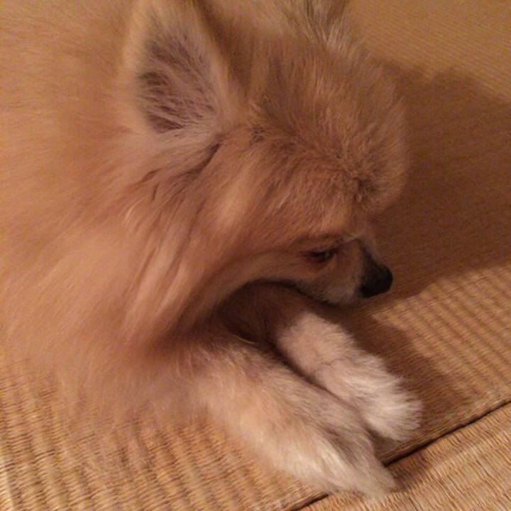 E8595164 f292 485c 82f9 3e377301a034