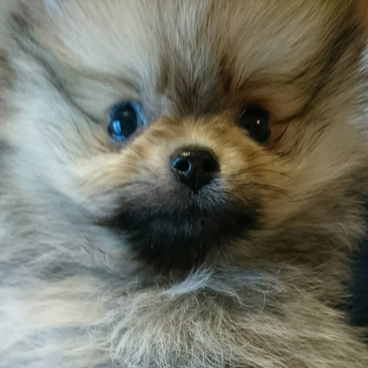 E859a1d4 9e33 4d3f aaaa 029697101641