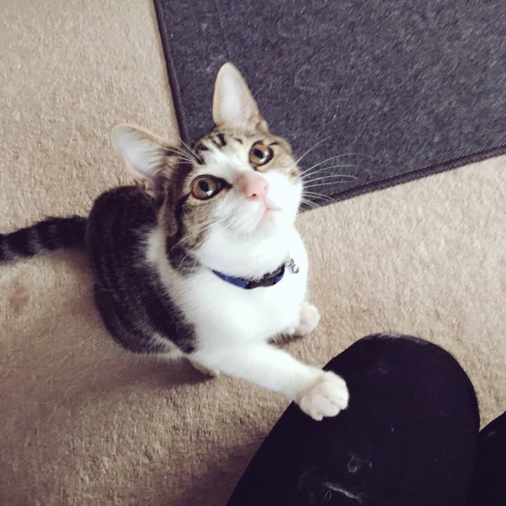 E85a0e60 a115 4c6b ae09 4b6bcac6a383