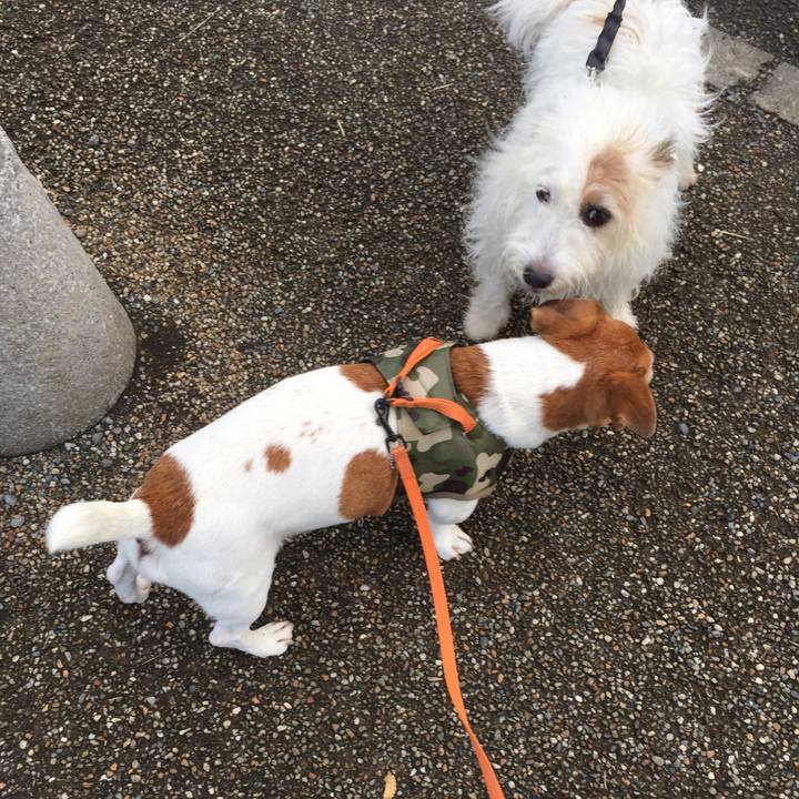 E85a5549 fb5b 40b4 9844 06d68fbfe508