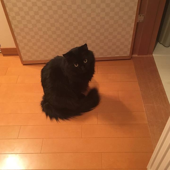 E85a8824 af60 41af 9dd5 f8832ce0387f