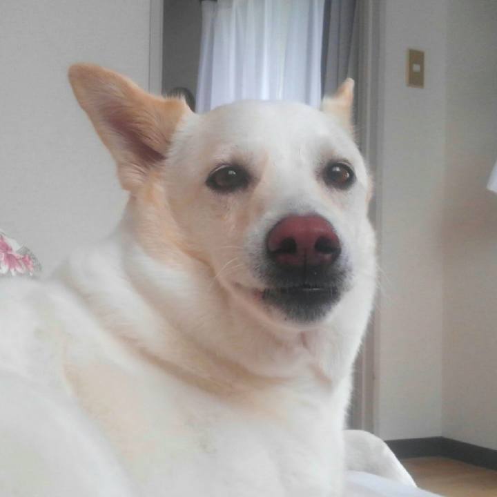 E85af63b 9b3e 4a65 a0ed 24d5c6df49db