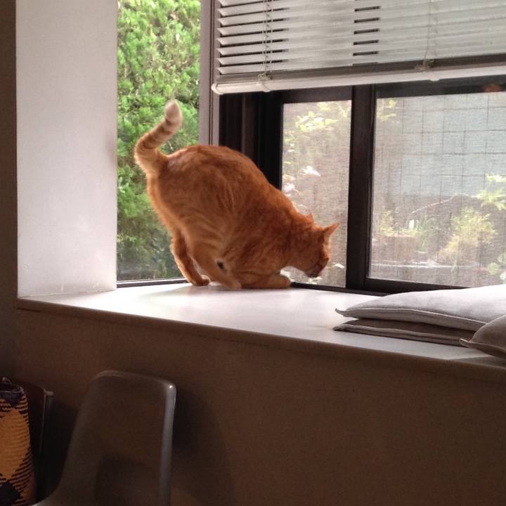 E85b2472 9e78 4aef 8f78 4c77e28839f1