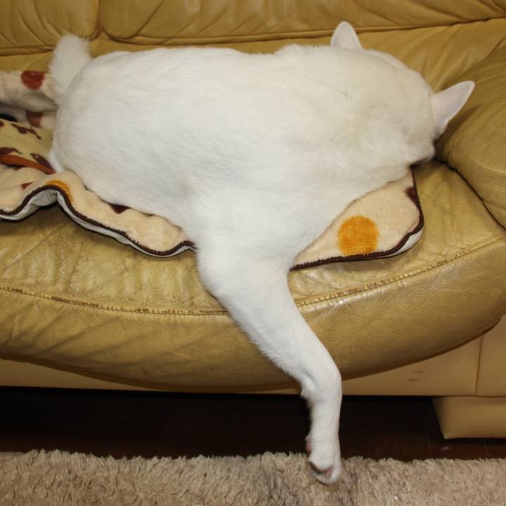 E85bb901 5cd5 4e57 912f 3bf3ca689eba