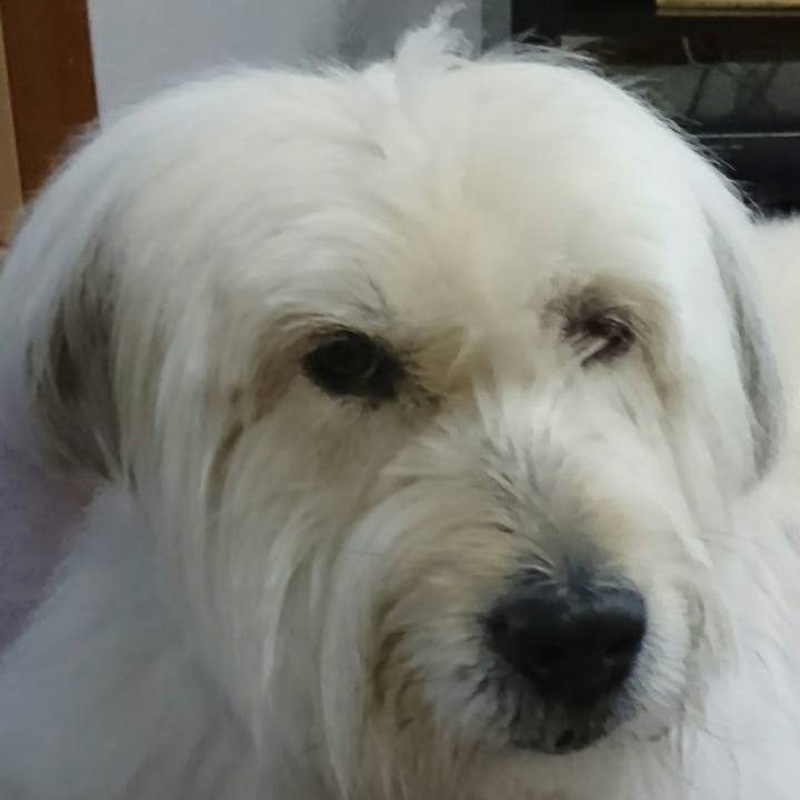 E85bdb89 48dc 4836 ac8e 8b8cce8bfa2e