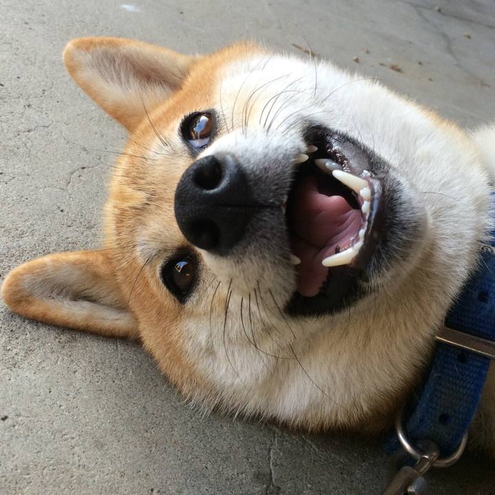 E85cd1fc cb7c 4668 a932 c934e132676f