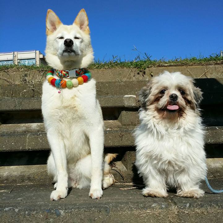 E85d9ce5 b959 47a8 91bf b4052e9cc20c