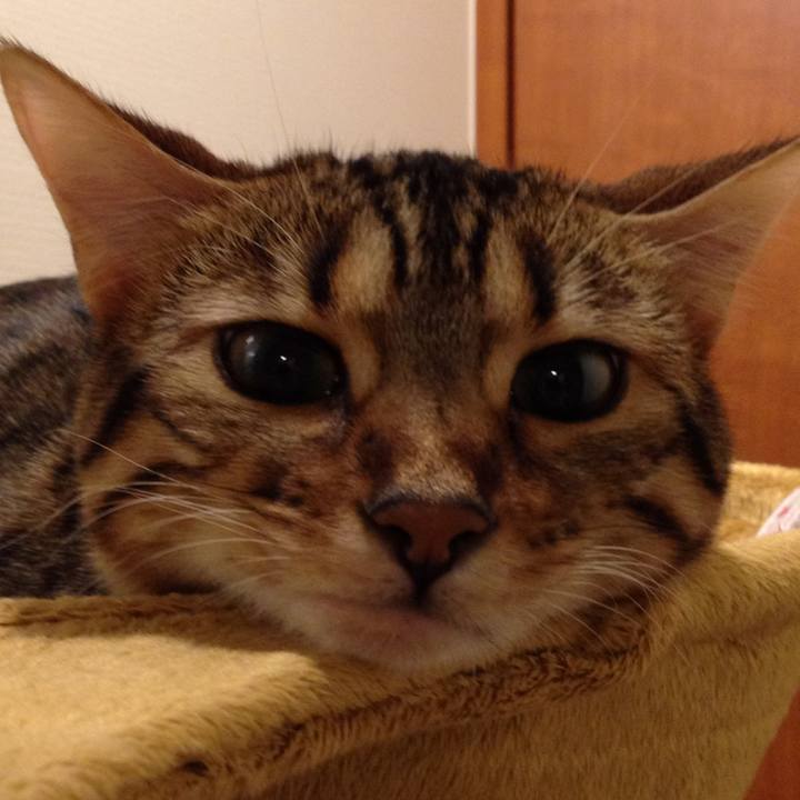 E85df810 ec88 40b1 88f0 999e001501bf