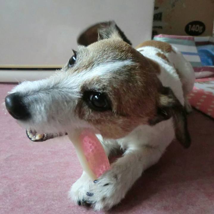 E85dfdde fbb2 493c a118 e2ad9f97fc84