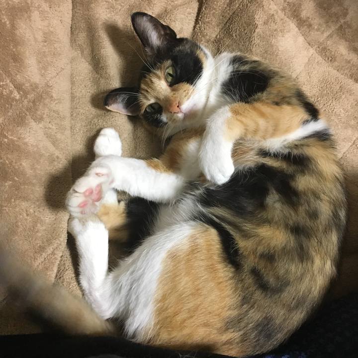 E85e4d61 d411 441a a62f d0b3c81773a7