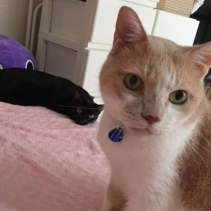 E85ed744 fdd5 43de 9f75 093d6201d7a4