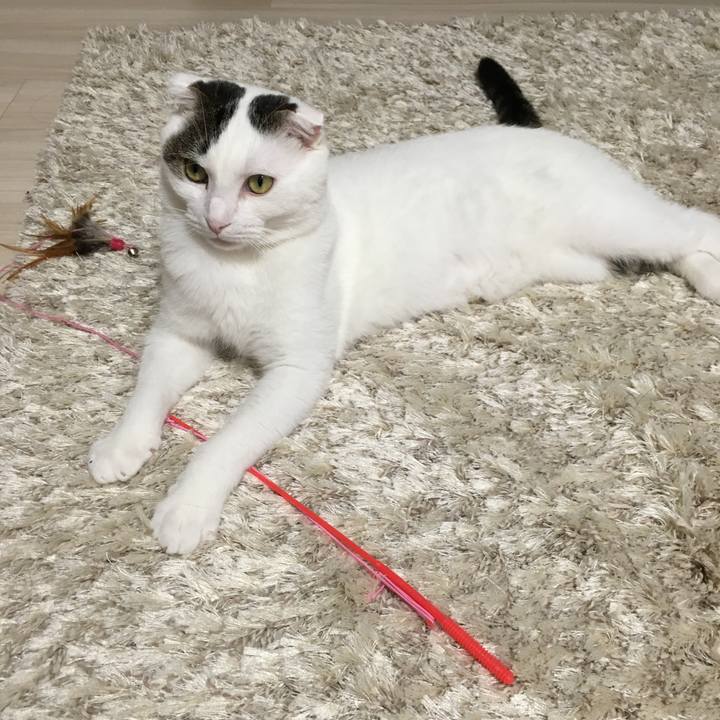 E85f6fb6 2ae7 4549 bbf5 5b7e1abb03e2