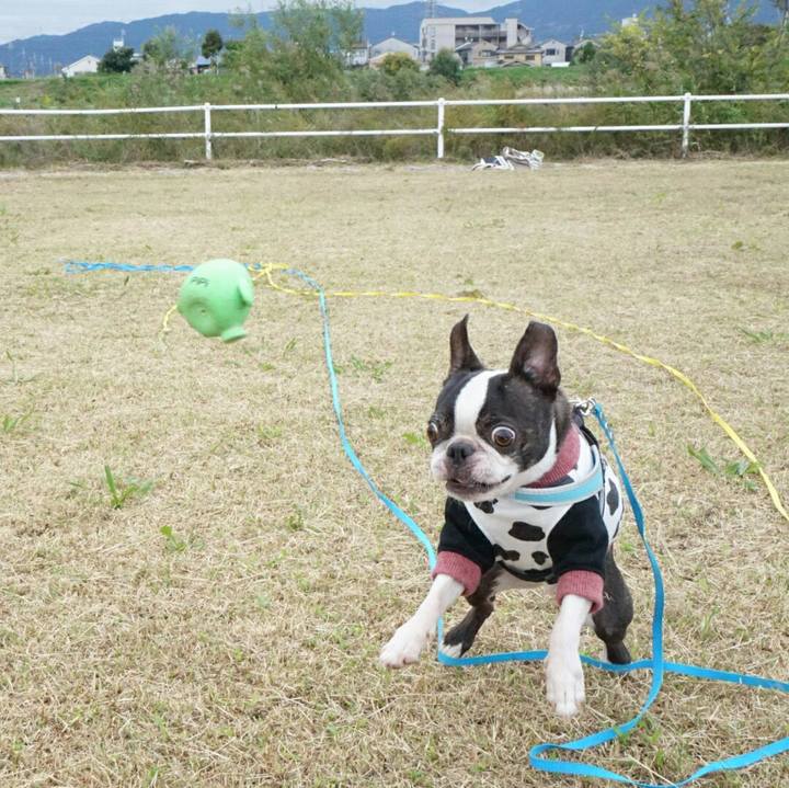 E85fc54f 5636 4356 8e2b beced5aba01d