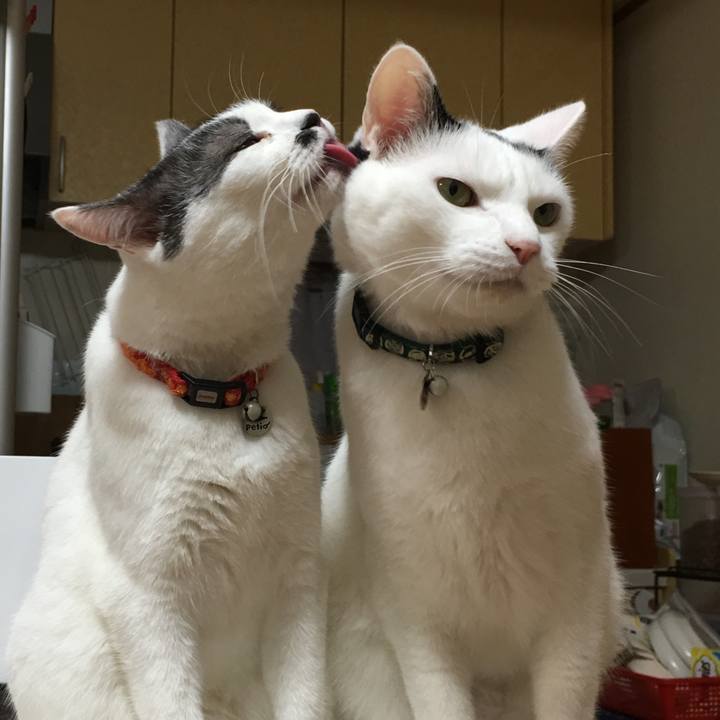 E860182b 191a 440f 99fa 606e1f3371a2