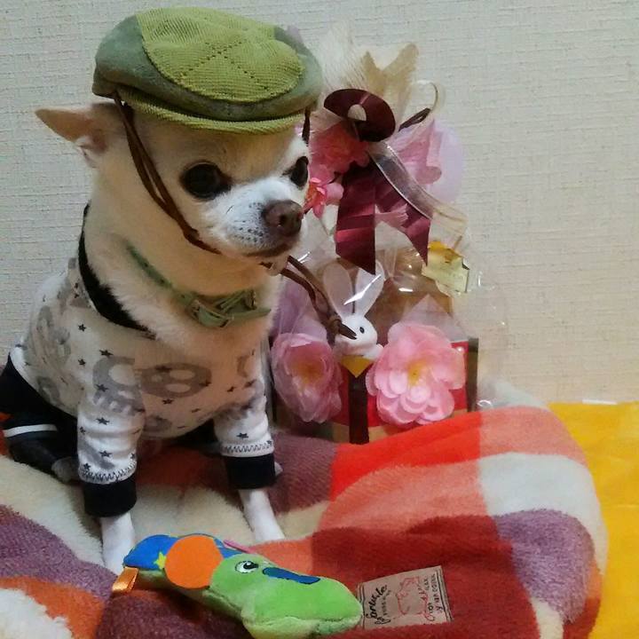 E8608cf8 aec0 4d8c bde0 103b9f76ba48