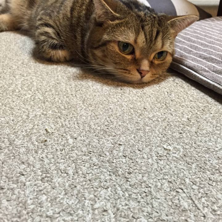 E860c0b8 ba2a 4750 88c0 71f537abd10b