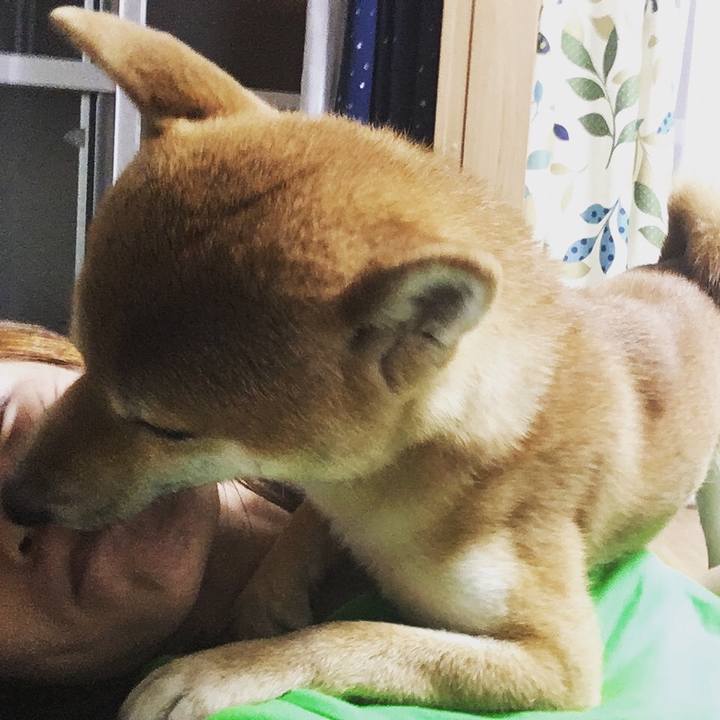 E860c1e6 15e5 43b4 9628 39164773edc0