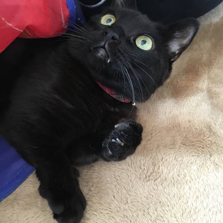 E860f6de 6ffc 4c14 84fc afb20a90f2ca