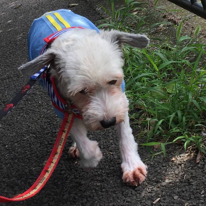 E861c5ab 2ab1 40e0 b5e9 9f6935c905c6