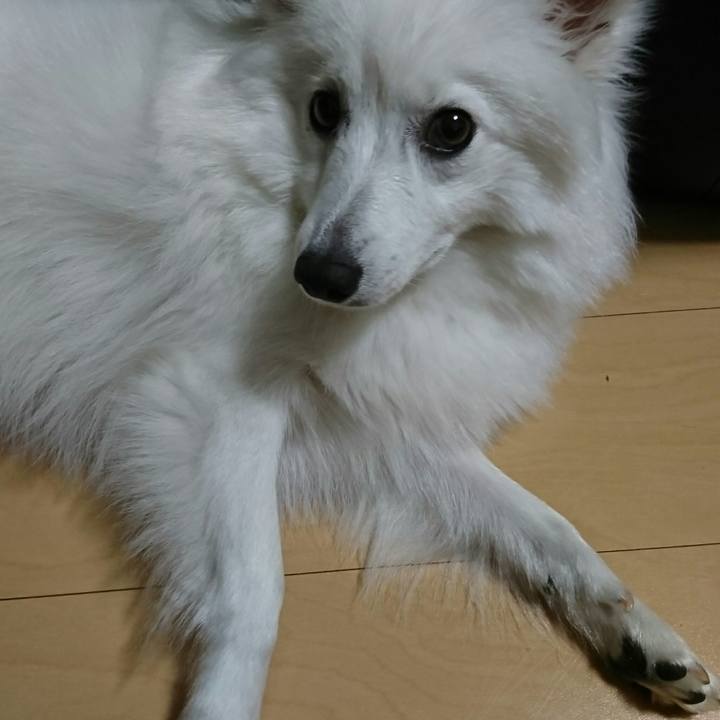 E8621596 044a 4236 a256 f1897e9fe3fc