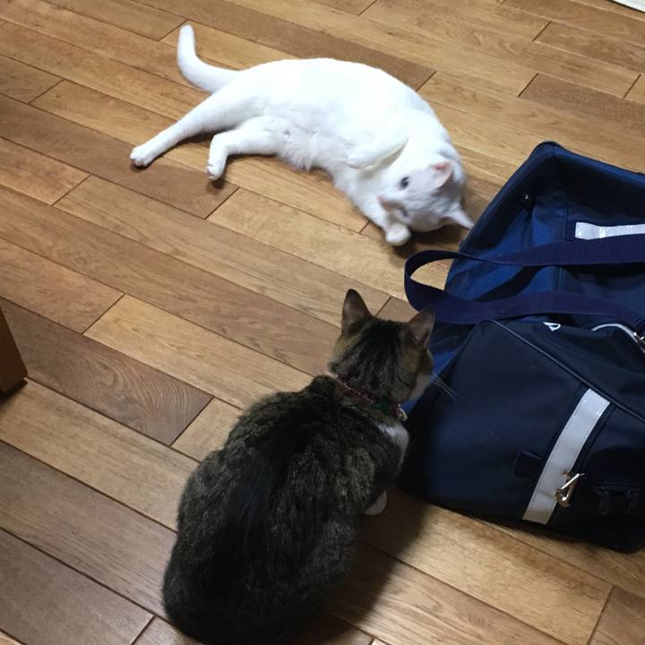 E862227b cca8 431e 92ee 91613601faf9