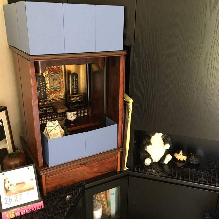 E862491a 2089 47eb 995d c8c0d91498f2