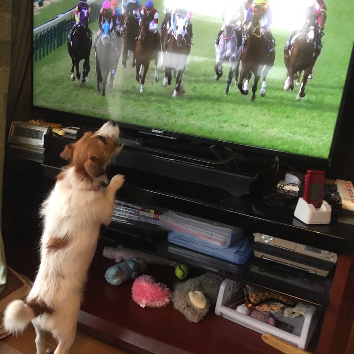 E8627b70 c33d 4a19 915c eba83bd214fc