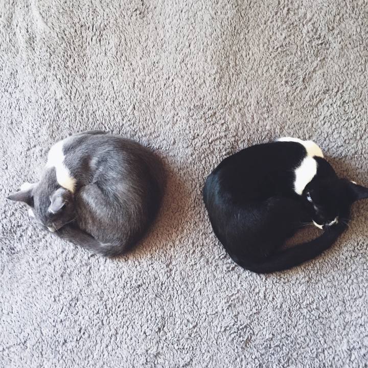 E8631349 4e5f 416a b8fb 4c30df60d112