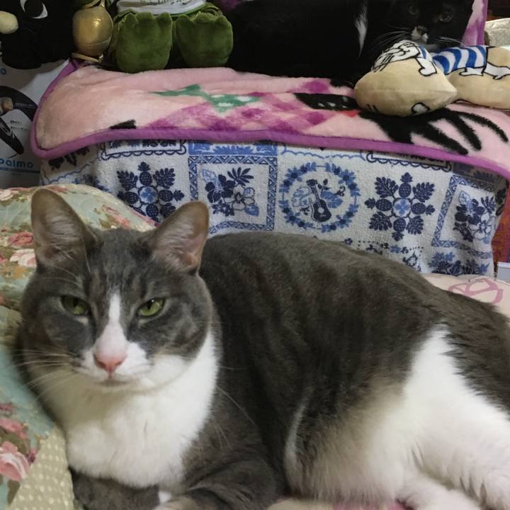 E8635199 b7d1 41b5 9739 42f4e6ad64b2