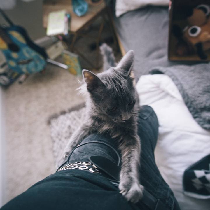 E863cfff d9ad 4891 b6be 8f7bf8d8d9c8