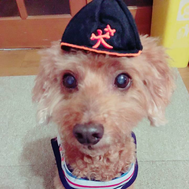 E8642514 2605 4a5d ad1c 83e388a9b504