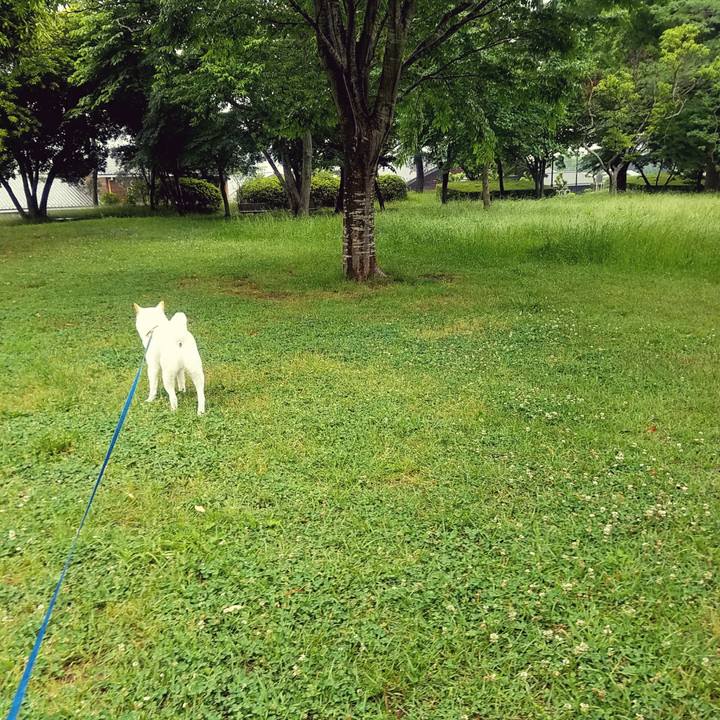 E86445da 4c91 4ec3 adb0 dbef883d4895