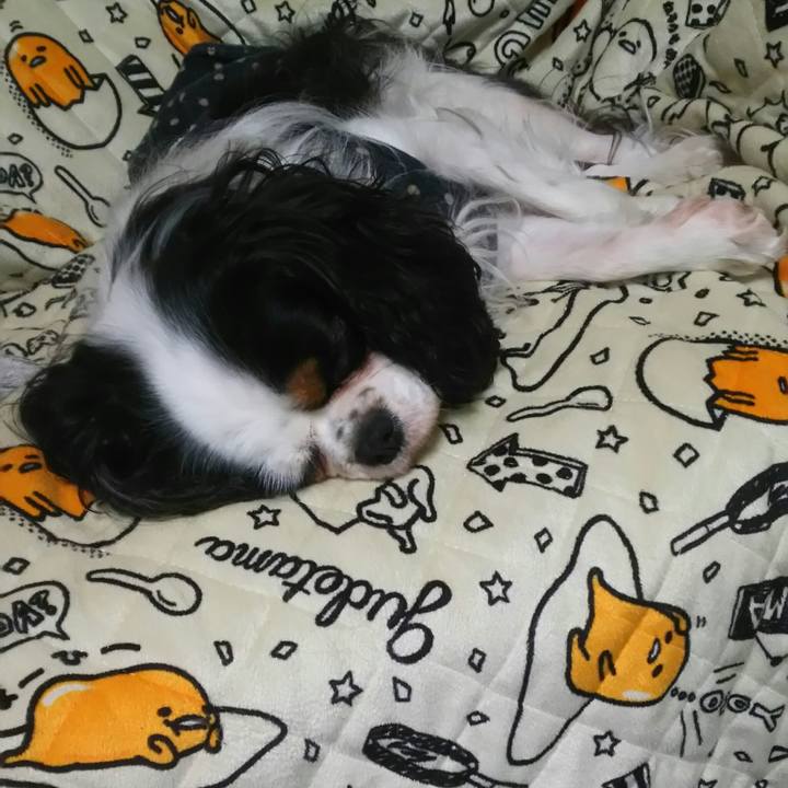 E8646244 3c27 4ef3 8c0b 11b090c97769