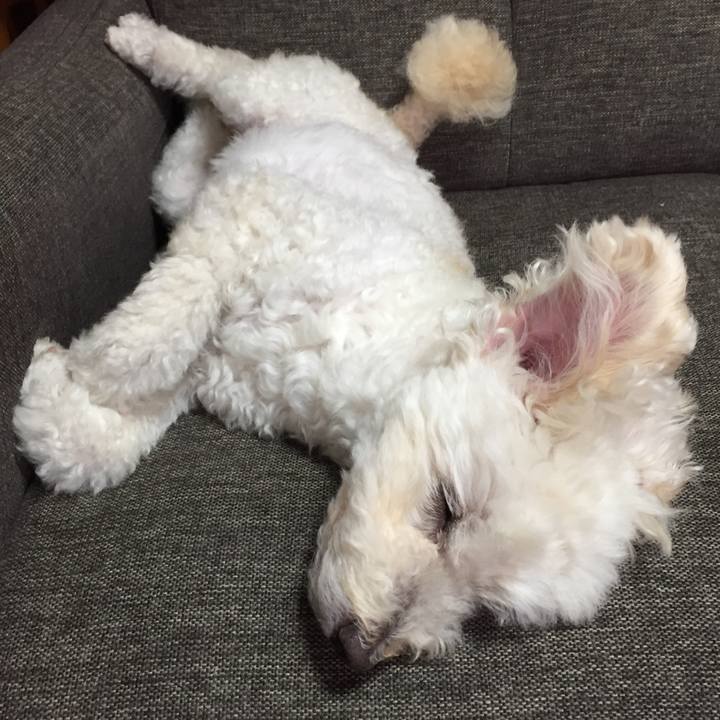 E864aa4d 9d42 47da abcf a935abfa2b9f