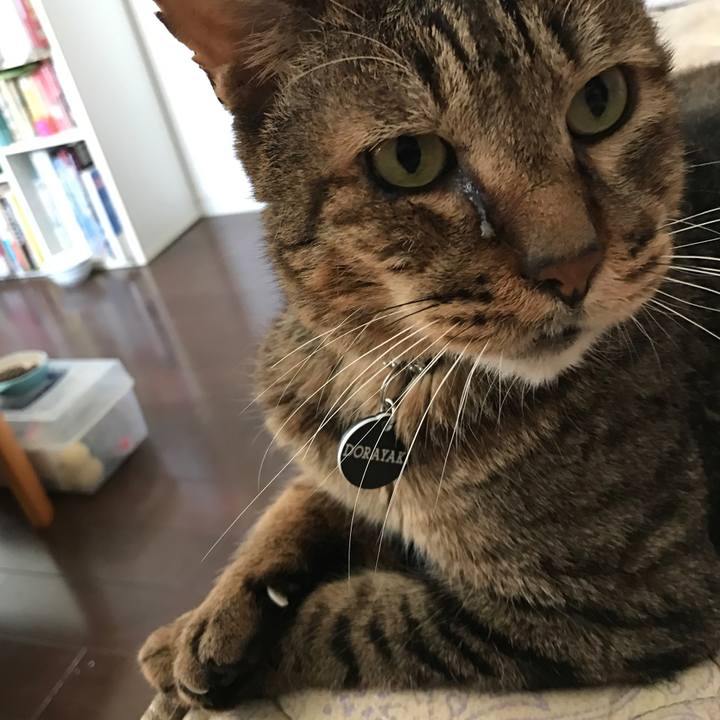 E865c582 b8bd 4083 84b3 1c4a84353163