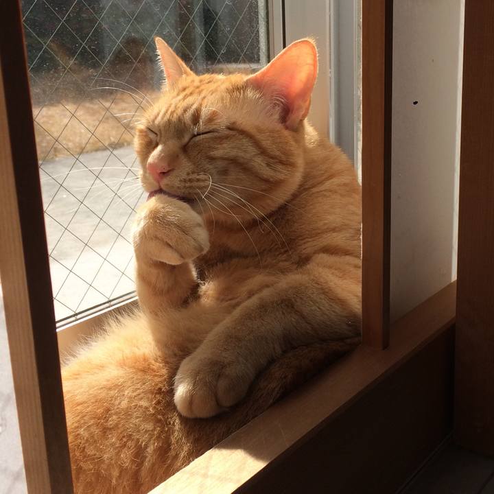 E8663dca cb28 47d4 abb4 de5cdbc3caf6