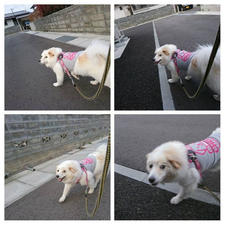 E866593e 3691 4ce3 a607 48e8cf20529b