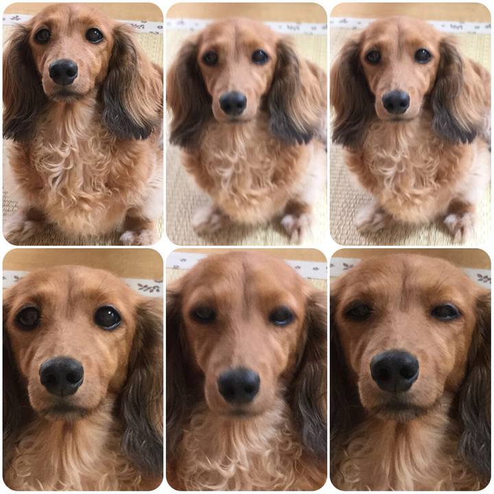 E867bbb0 a9d2 4813 8804 c0734bbf0e86