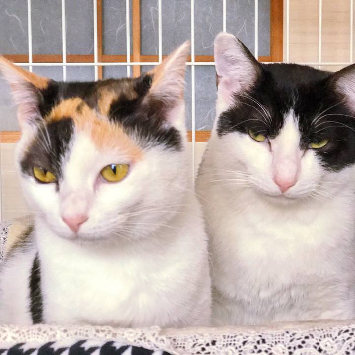 E867c490 3a68 476b 8ba9 4a53f9fbe084