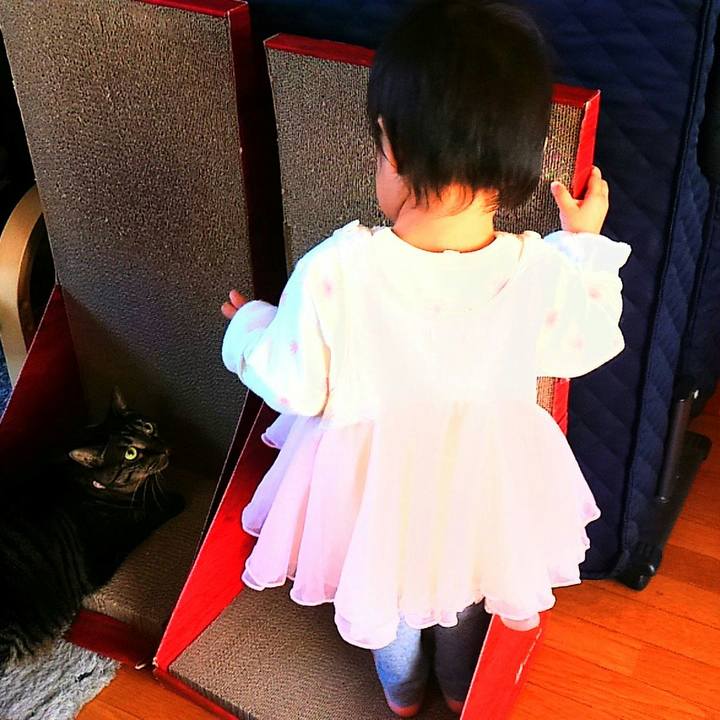 E867ddcd 19a3 4082 b8a1 dff7deb98290