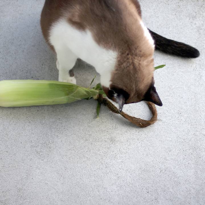 E8680e91 d7b2 4d71 8447 5d5e3b9e083f