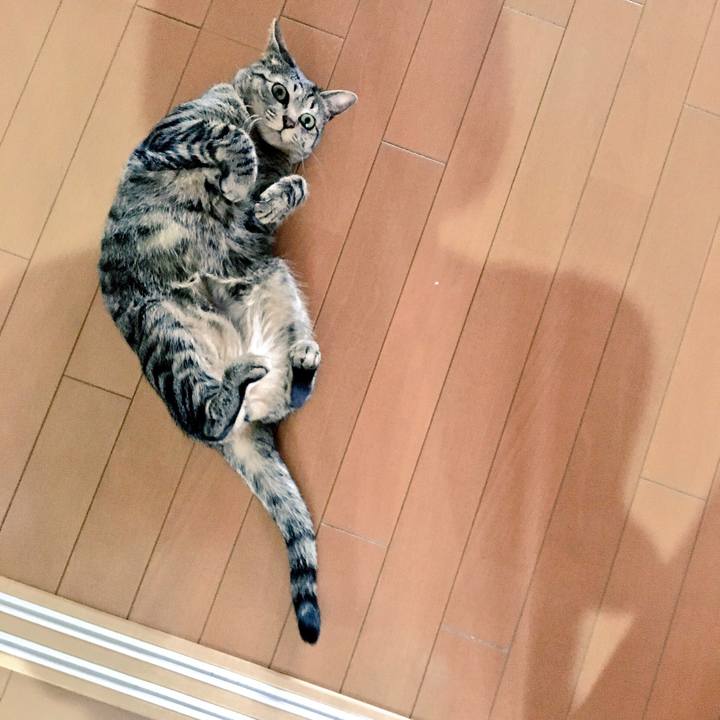 E86845c8 8f06 4289 a8fb 714127e6e841