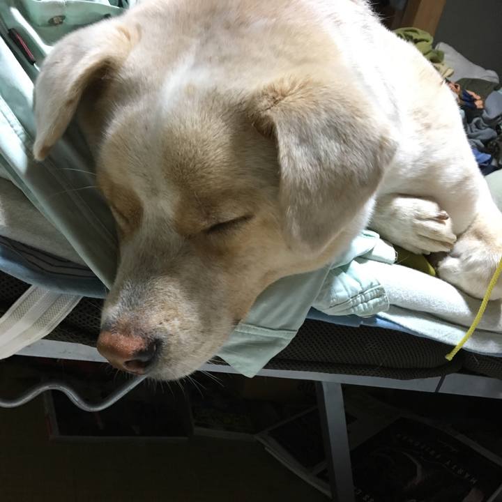 E86918c8 f487 4923 9c77 4d7619e76a24