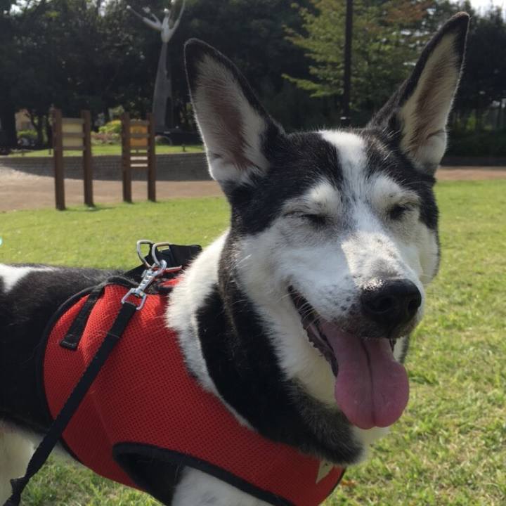 E869817a 3e0c 4d1d 802b 5f72fae5b0e9