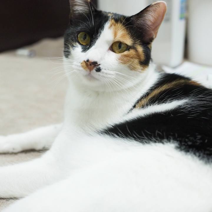 E869974e 0d67 4a30 99a9 6a54e35ad981