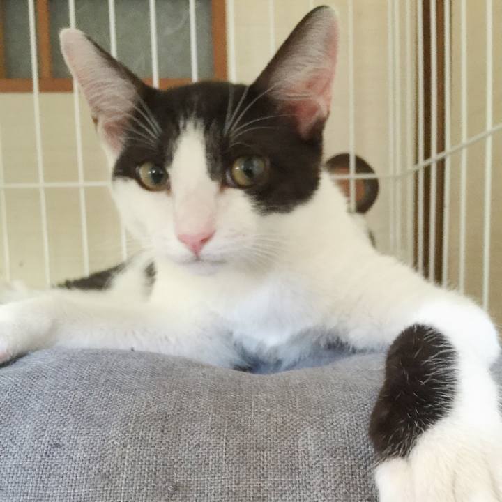 E869a0db 24dc 4ddb 8836 58b76ff4c14f